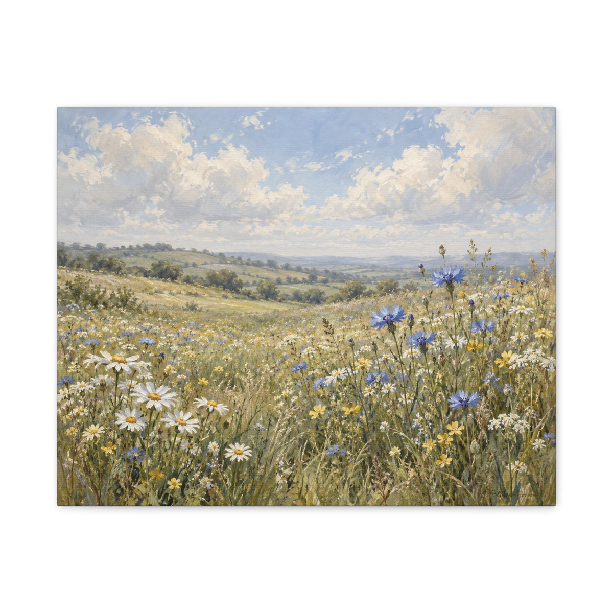Where the Wildflowers Grow